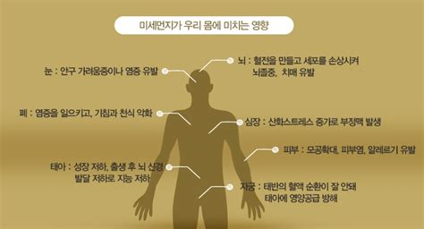 중금속이 환경에 미치는 영향